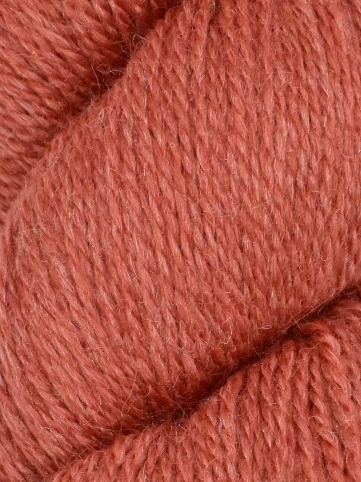 CIDER DONUT CABLE SOCK KIT