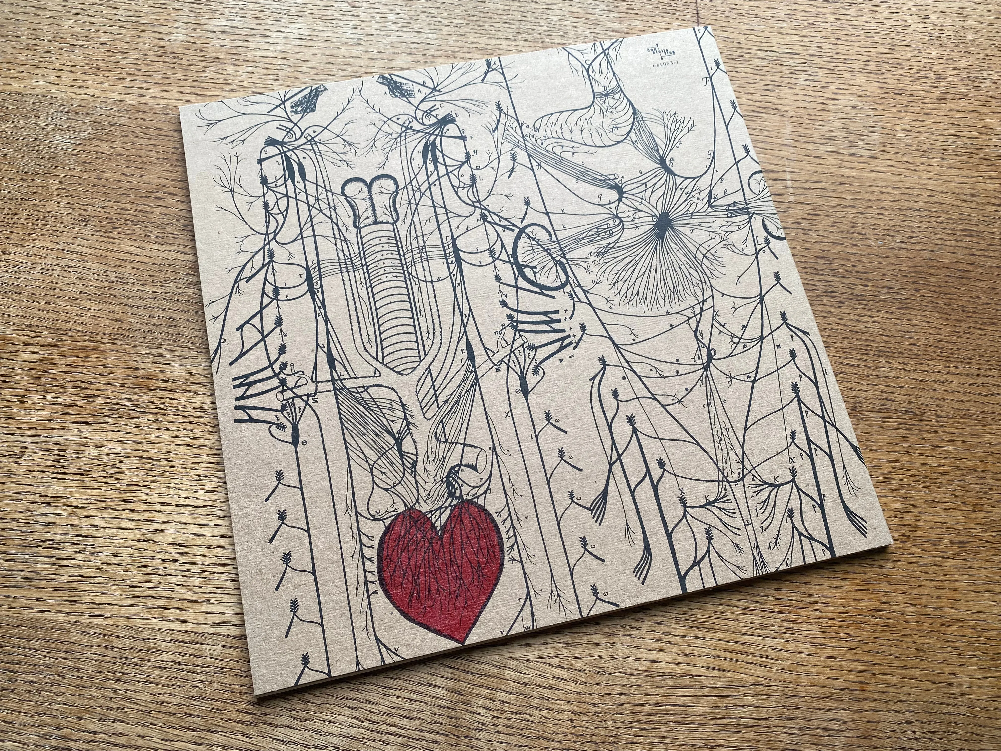 CST033 Thee Silver Mt. Zion Memorial Orchestra & Tra-La-La Band | Horses In The Sky