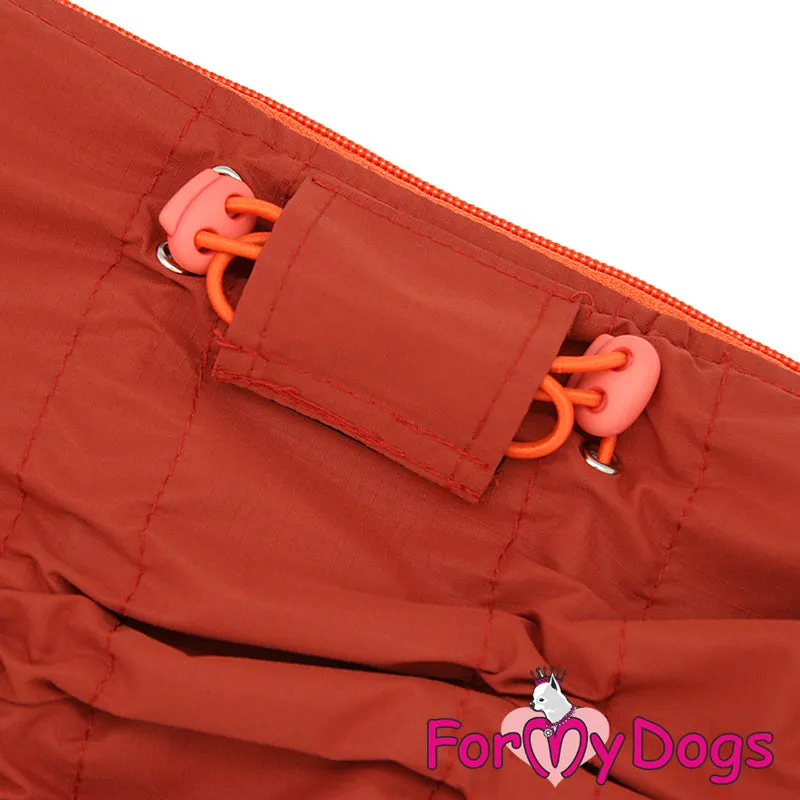 NEW DESIGN Dachshund Down To Earth Winter Suit For Girls TM1 & TC1