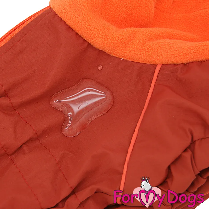 NEW DESIGN Dachshund Down To Earth Winter Suit For Girls TM1 & TC1
