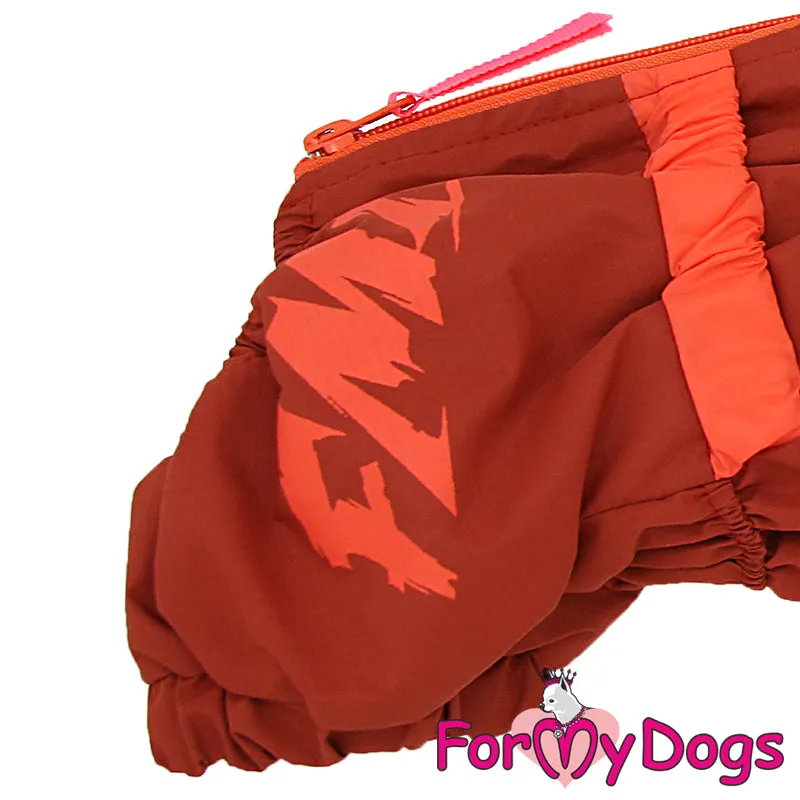 NEW DESIGN Dachshund Down To Earth Winter Suit For Girls TM1 & TC1